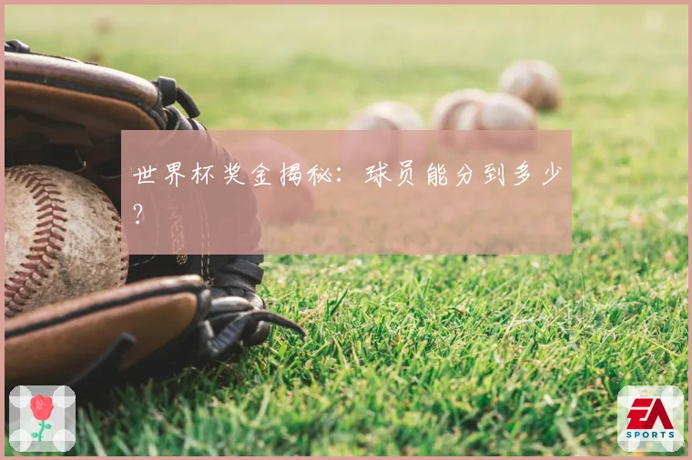 世界杯奖金揭秘：球员能分到多少？