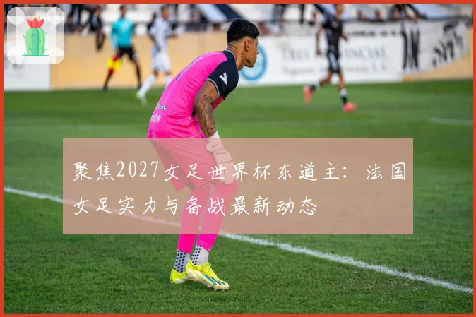 聚焦2027女足世界杯东道主:法国女足实力与备战最新动态