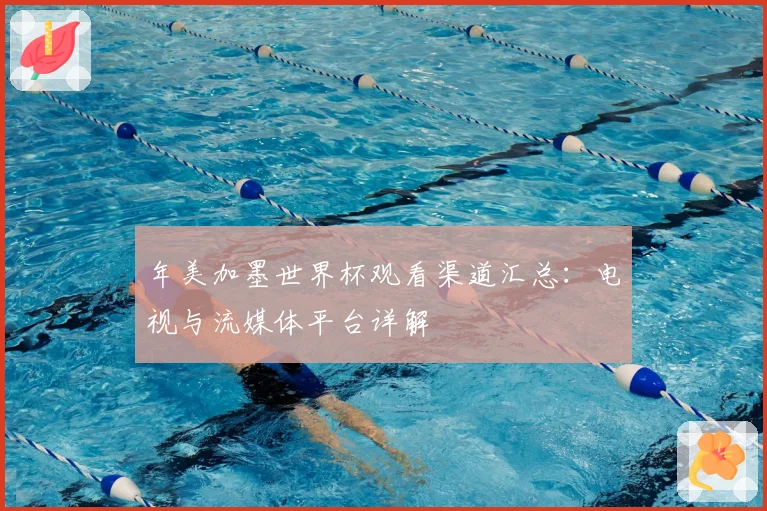 年美加墨世界杯观看渠道汇总：电视与流媒体平台详解