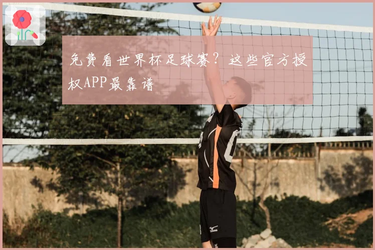 免费看世界杯足球赛？这些官方授权APP最靠谱
