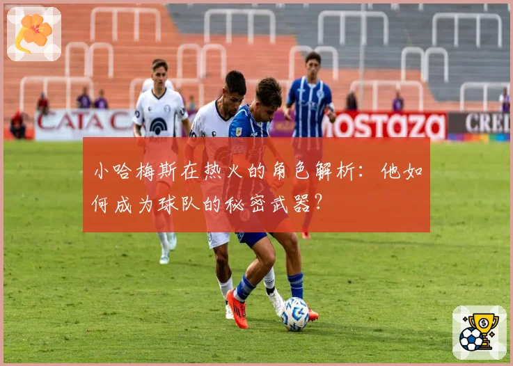 小哈梅斯在热火的角色解析：他如何成为球队的秘密武器？