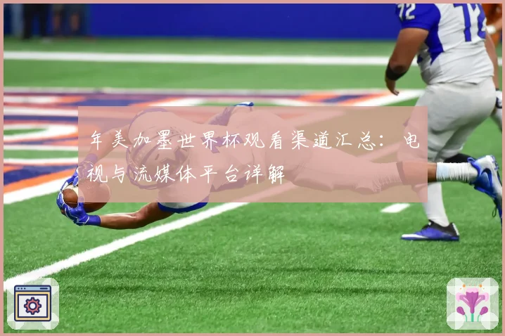 年美加墨世界杯观看渠道汇总:电视与流媒体平台详解
