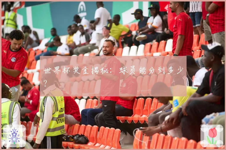 世界杯奖金揭秘:球员能分到多少?